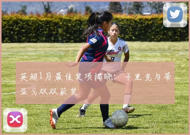 英超1月最佳奖项揭晓：卡里克与蒂亚戈双双获奖