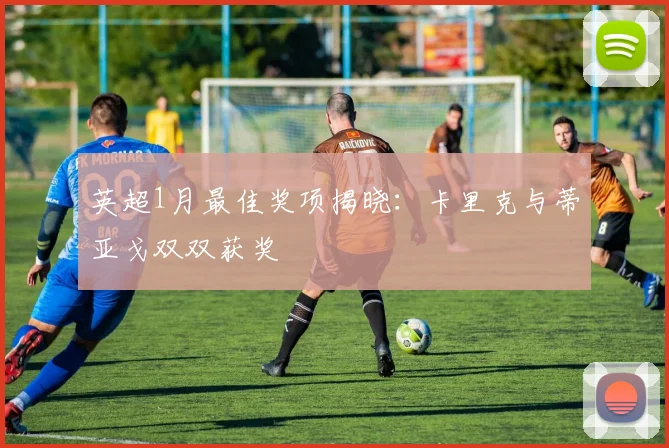 英超1月最佳奖项揭晓：卡里克与蒂亚戈双双获奖